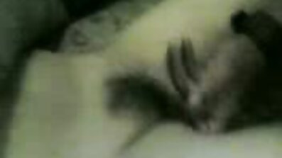 ភាសាឡាតាំង